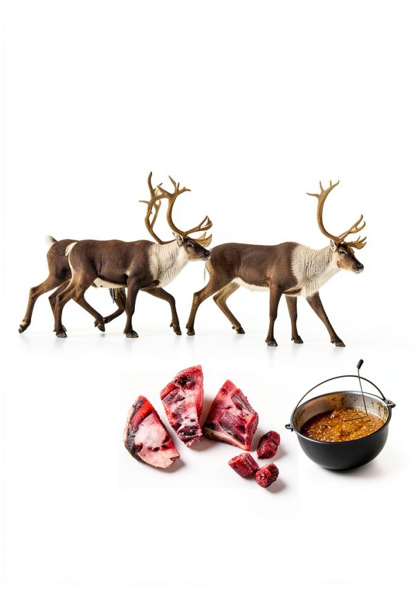 Wild Game Hunting and Cooking Guide by Random House-0