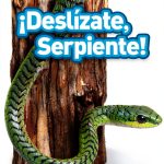 National Geographic Reptile & Amphibian Kindle Reader for Preschool-0