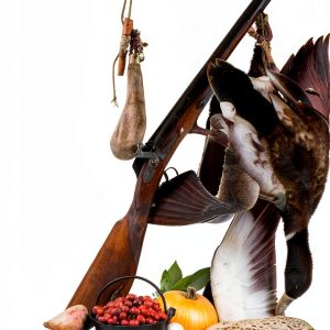 Game Meat Cooking Guide by Pelican Publishing Kindle Edition-0