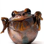 National Geographic Readers: Reptiles and Amphibians (Bilingual)-0