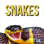 Wildlife Series Science Education for Kids, 45-Page Print Replica-0