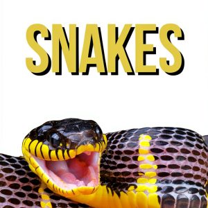 Wildlife Series Science Education for Kids, 45-Page Print Replica-0